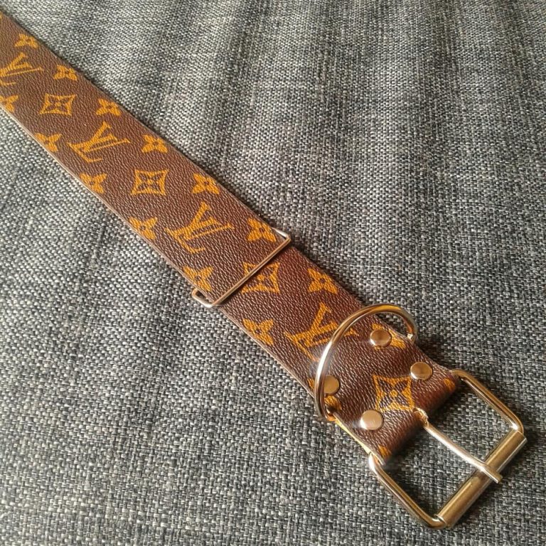 Louis Vuitton Leather Dog Collar X Width Andreas Studio Store